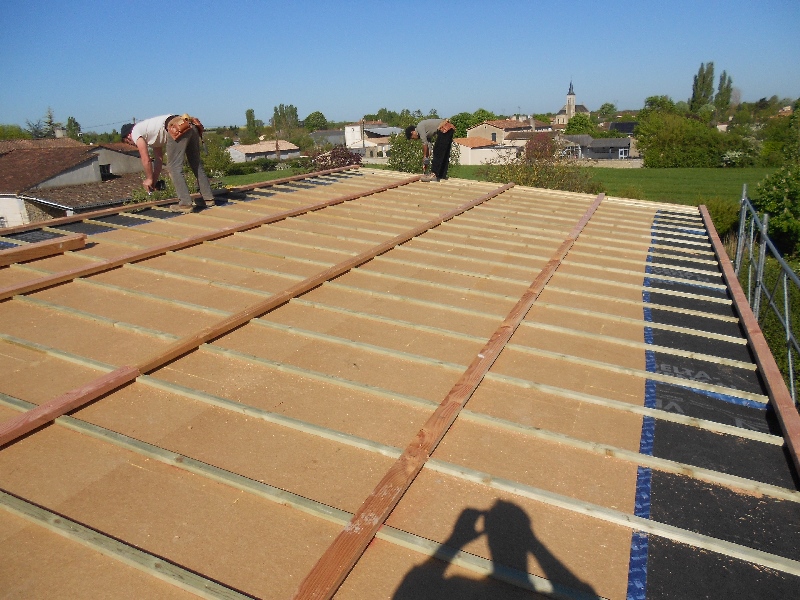 Maison ossature bois dans le marais poitevin (79)
